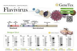 Flavivirus